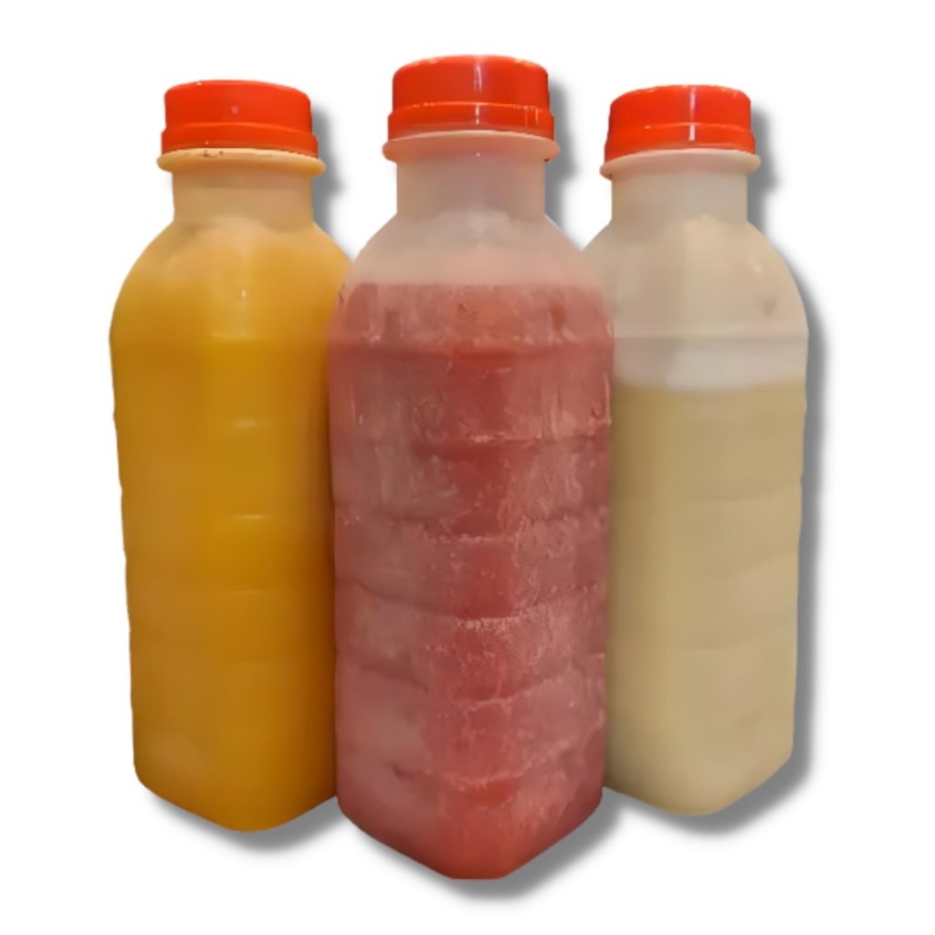 Suco de Manga (POLPA) Garrafinha 300ML